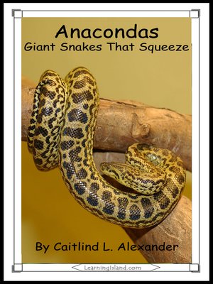 cover image of Anacondas